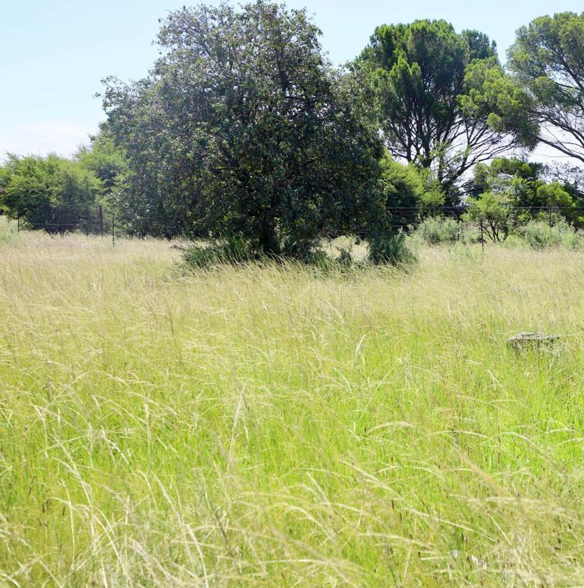 0 Bedroom Property for Sale in Heilbron Free State